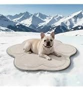 2 Packs Car Door Protector for Dogs — collection imagery