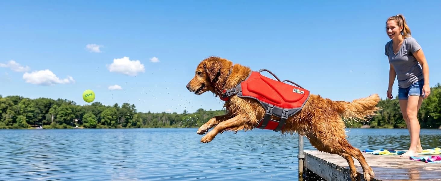 Dawson Swim Dog Life Jacket — Life Vest — collection imagery