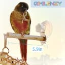 Bird Window/Bath/Car/Travel Perch Stand with Suction Cup for Small and Medium Bird Parrot Parakeet Cockatiel