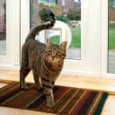 Sure Petcare Microchip Cat Flap