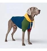 Dog Cooling Vest - Evaporative Summer Cooling — collection imagery