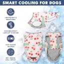 Dog Cooling Vest - Evaporative Summer Cooling
