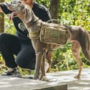 Dog Backpack for Medium and Large Dogs