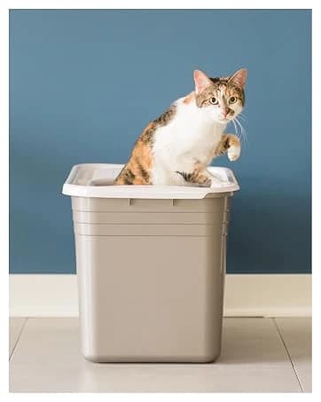 Vari Dog Kennel — Carrier for Large Dogs — collection imagery