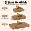 Parrot Chew Toy — Shreddable Cardboard Bird Platform