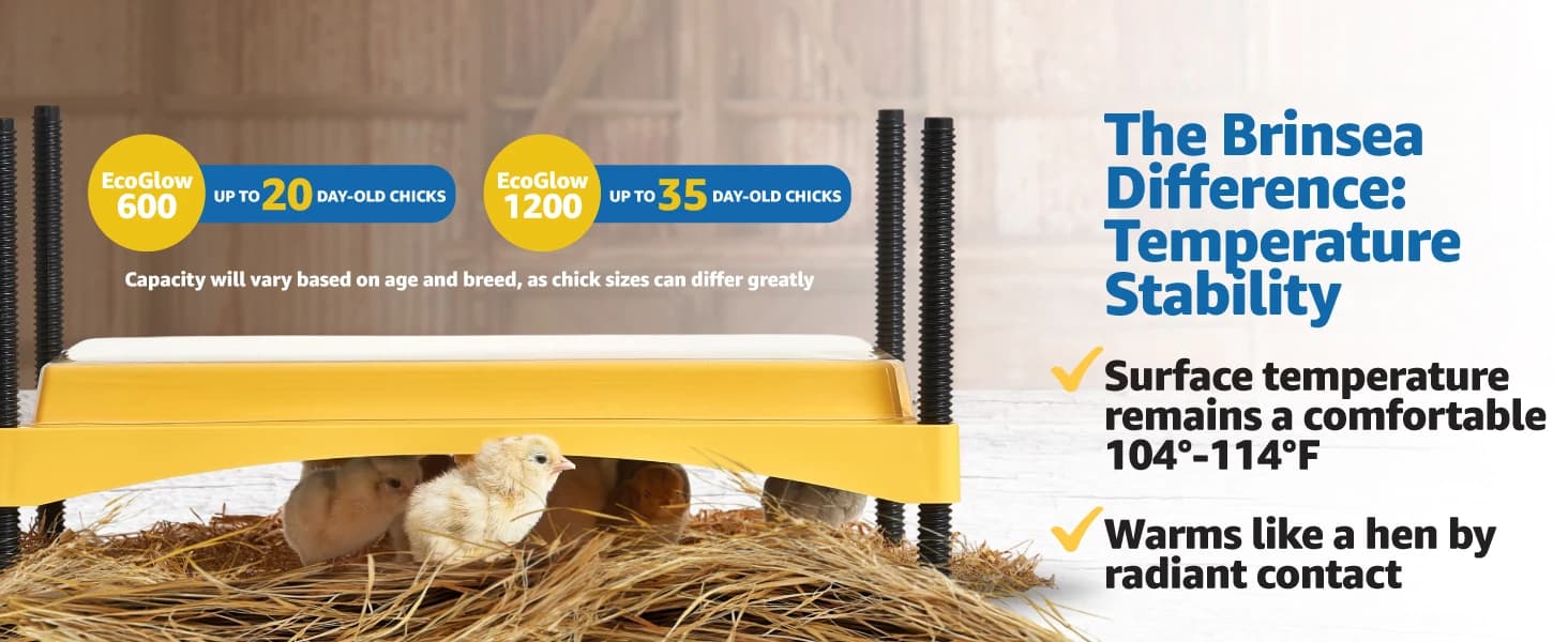 Ecoglow Safety 600 Chick or Duckling Brooder — collection imagery