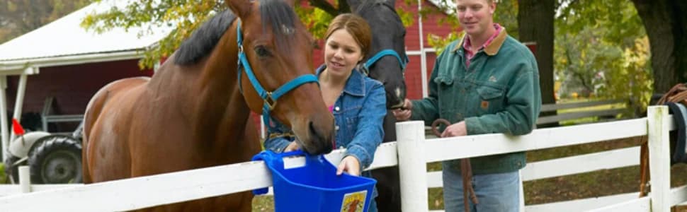 Plastic Hook Over Feeder | Mountable Livestock and Pet Feed Bucket | Horse Feed Bucket | Made in USA | 15 Quarts — collection imagery