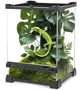Reptile Chameleon Cantina Drinking Fountain Water dripper Supplied with Feeding Tongs and Frosted Tweezer for — collection imagery