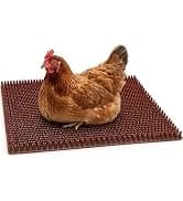 Nesting Boxes for Chickens — Roll Away Laying Boxes — collection imagery