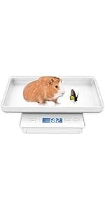 Digital Pet Scale for Small Animal — product details
