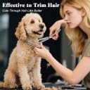 Professional 4 in 1 Dog and Cat Grooming Scissors Kit with Safety Round Tips