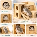 Tiny Hamster Maze Wood House Fun Slide House — Double-Decker Hut for Dwarf Gerbil Mouse Mice Rat Small