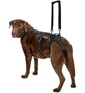 Service Dog Vest Harness, Service Dog Cape Guardian Dog Backpack Harness with Pouches Dog Saddle Bag for Small — collection imagery