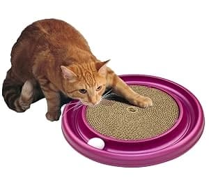 Bergan Turbo Scratcher Replacement Pads — 2 Pack — collection imagery