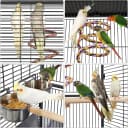 61" Playtop Parrot Bird Cage with Rolling Stand