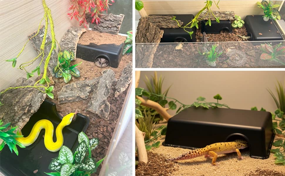 Reptile Hide Box — Snake and Gecko Hide — Create a safe low-profile hideout for your reptile pet