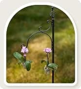 Metal Bird Feeders for Outdoors Hanging — collection imagery