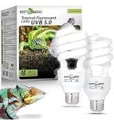 Reptile Humidifier — Mini Automatic Misting System for Reptile Terrariums — collection imagery