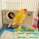 Parakeet Nesting Box — Wood Bird Nest House for Cage