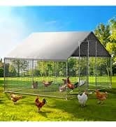 Large Walk-in Chicken Coop with Chicken Run — collection imagery