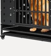 48'' Heavy Duty Dog Crates for Large Dogs — collection imagery