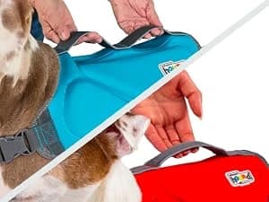 Dawson Swim Dog Life Jacket — Life Vest — Confidence in Every Splash