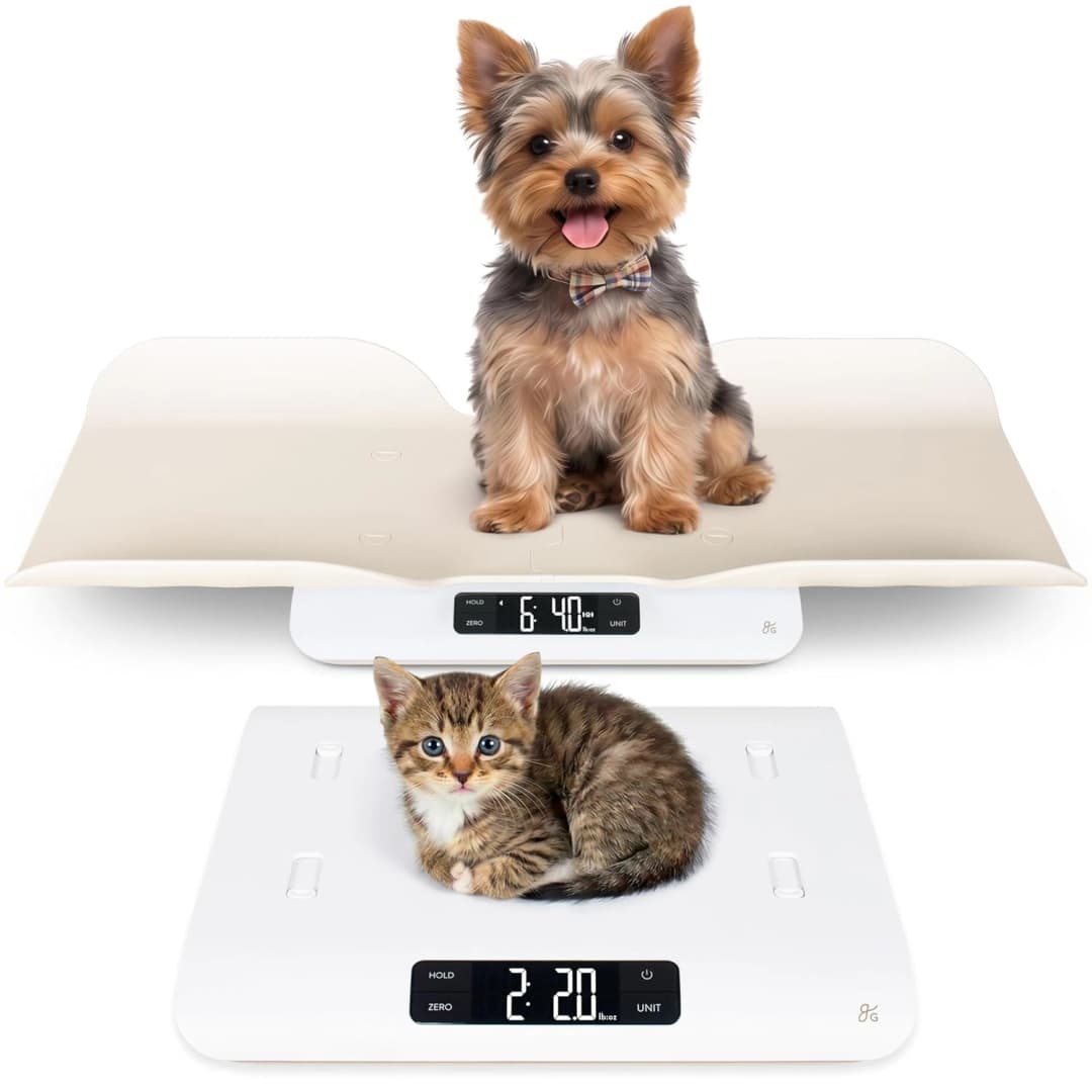 Wiggle-Proof Digital Pet Scale for Cats
