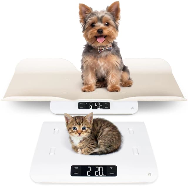 Wiggle-Proof Digital Pet Scale for Cats