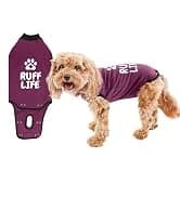 Dog Surgery Recovery Suit — Male Female After Spay Neuter Onesie — collection imagery