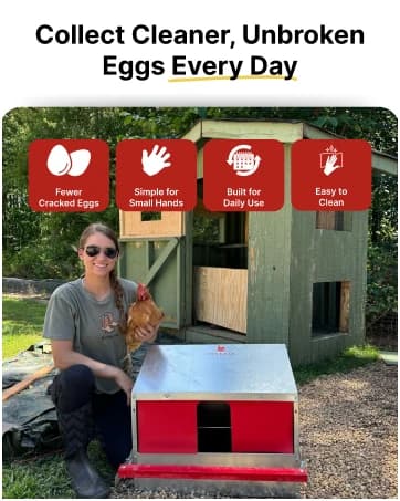 Nesting Boxes for Chickens — Roll Away Laying Boxes — collection imagery