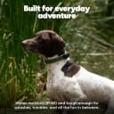Pet GPS Tracker for Dogs | Live Tracking