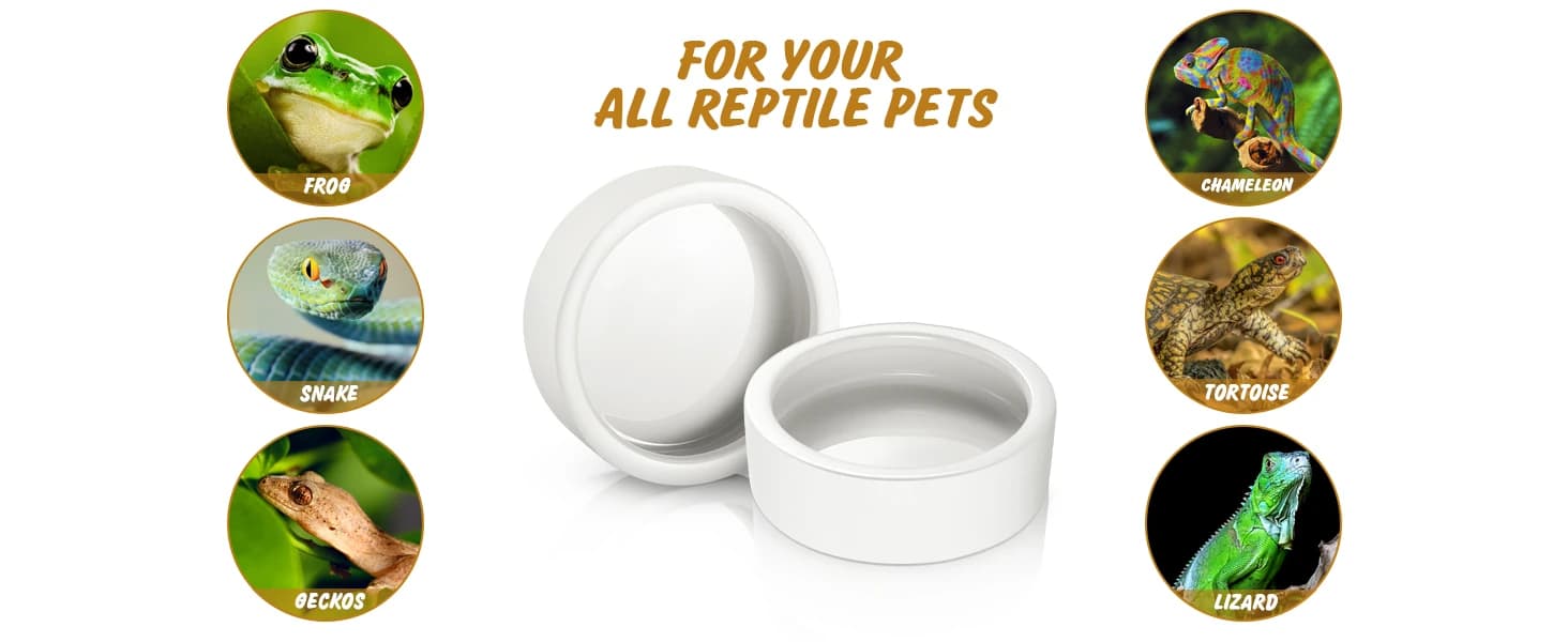 Reptile Food Dish Bowl — 2Pcs Lizard Gecko Worm Water Bowls Small (2.75in) — product details
