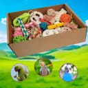 Bird Toys — Colorful Parrot Foraging and Tearing Toy Box