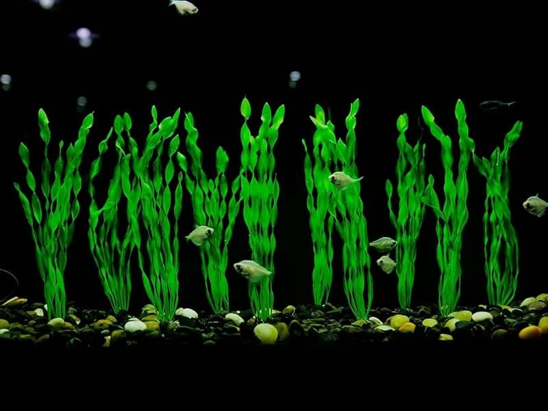 Artificial Seaweed Water Plants for Aquarium — Plastic Aquarium Plants