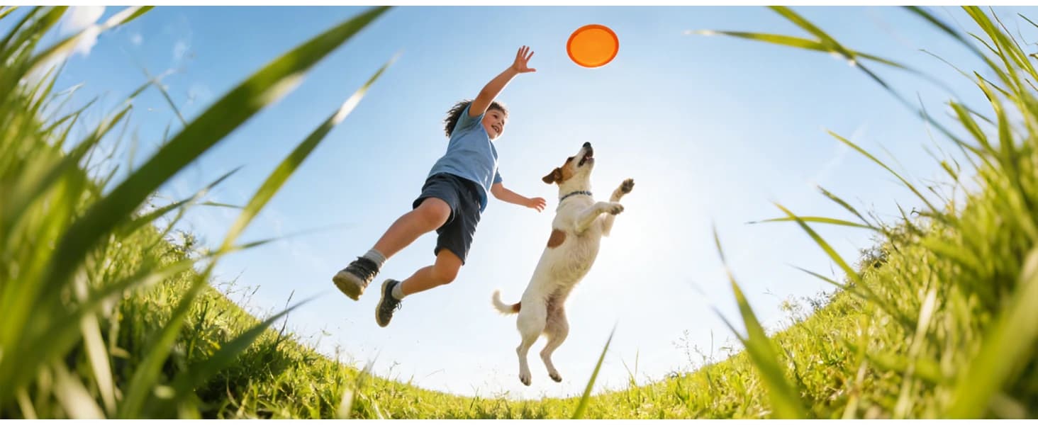 Dog Flying Disc — 2 Pack — product details