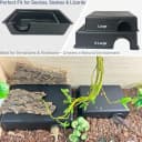 Reptile Hide Box — Snake and Gecko Hide