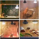 150W Ceramic Heat Emitter — Reptile Heat Bulbs