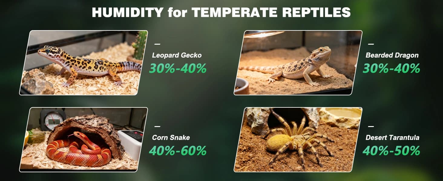 Reptile Fogger Humidifier — Automatic Humidifiers for Reptiles Tank — product details