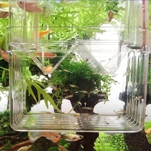 Aquarium Fish Breeder Box Plastic Fish Isolation Breeding Box Hatching Incubator Box for Baby Fishes Shrimp — Recommend