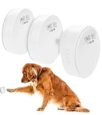 Smart Bell 2.0 Dog Door Bell for Potty Training Dogs and Puppies — collection imagery
