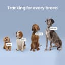 XL Smart Dog GPS Tracker | Live Pet Tracker with Virtual Fence | Vital Signs Monitoring of Heart and
