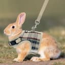 Plaid Breathable Rabbit Harness and Leash Set Escape Proof