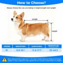 Dog Wheelchair for Back Legs – Adjustable Dog Wheelchair