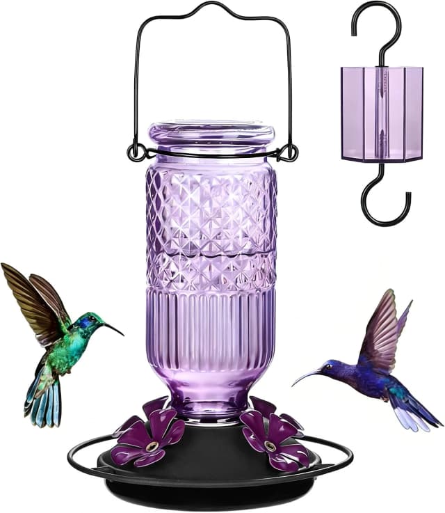 Glass Hummingbird Feeder for Outdoors Hanging
