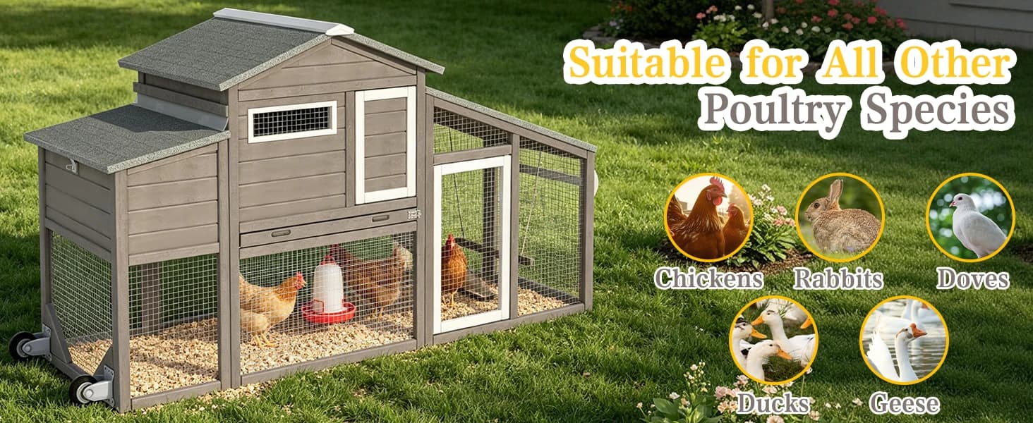 Large Wooden Chicken Coop with Run and Wheels — product details