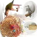 Bird Window/Bath/Car/Travel Perch Stand with Suction Cup for Small and Medium Bird Parrot Parakeet Cockatiel