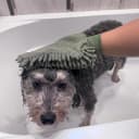 Clean Paws Chenille Microfiber Dog Towel Mitt - Super Absorbent