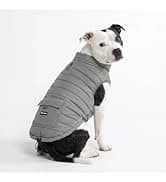 Dog Cooling Vest - Evaporative Summer Cooling — collection imagery