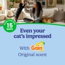 Advanced Odor Shield Clumping Cat Litter with Gain — Style: Advanced Litter / Size: 18.5 lb (Pack of 2)