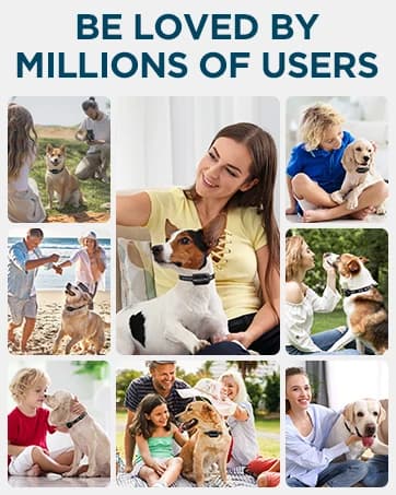 GPS Wireless Dog Fence — No Subscription Dog Collar for Dogs 15Lbs+ — collection imagery